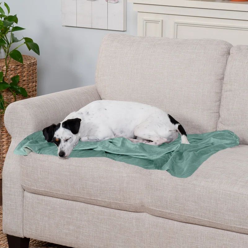 Medium Celadon Green Velvet Waterproof Reversible Pet Blanket