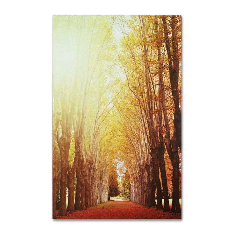 Philippe Sainte-Laudy Autumn Trees Landscape Canvas Art