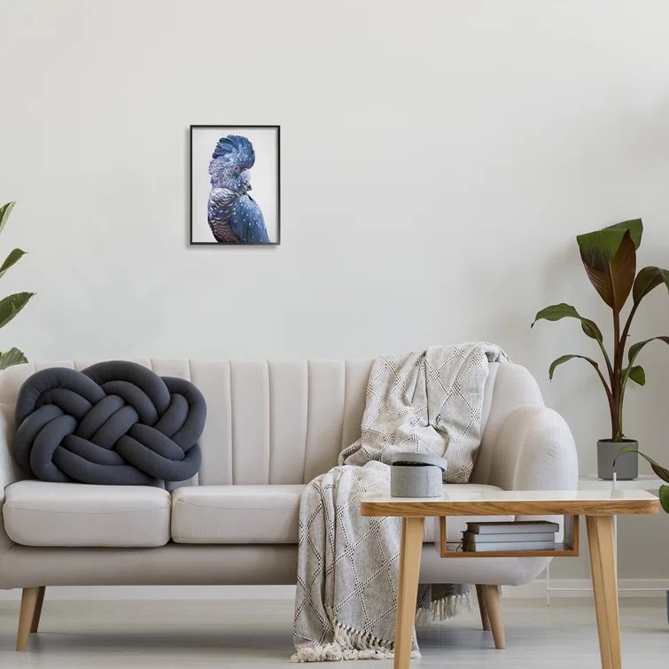 Black Framed Blue Cockatoo Portrait Canvas Print, 11" x 14"