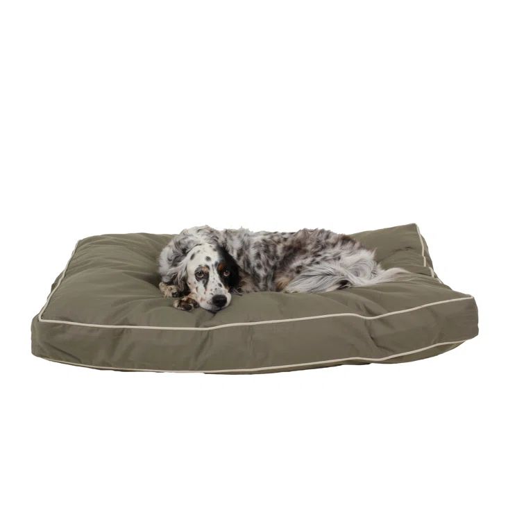Large Khaki Canvas Orthopedic Pet Bed with Sage Cord