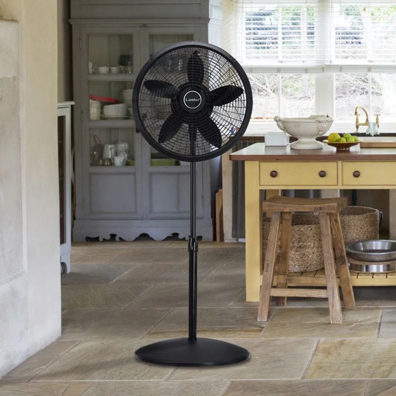 Black Adjustable Height 18" Oscillating Pedestal Fan
