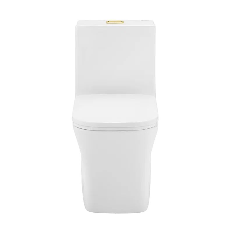 Concorde White One Piece Dual Flush Toilet with Brushed Gold Hardware