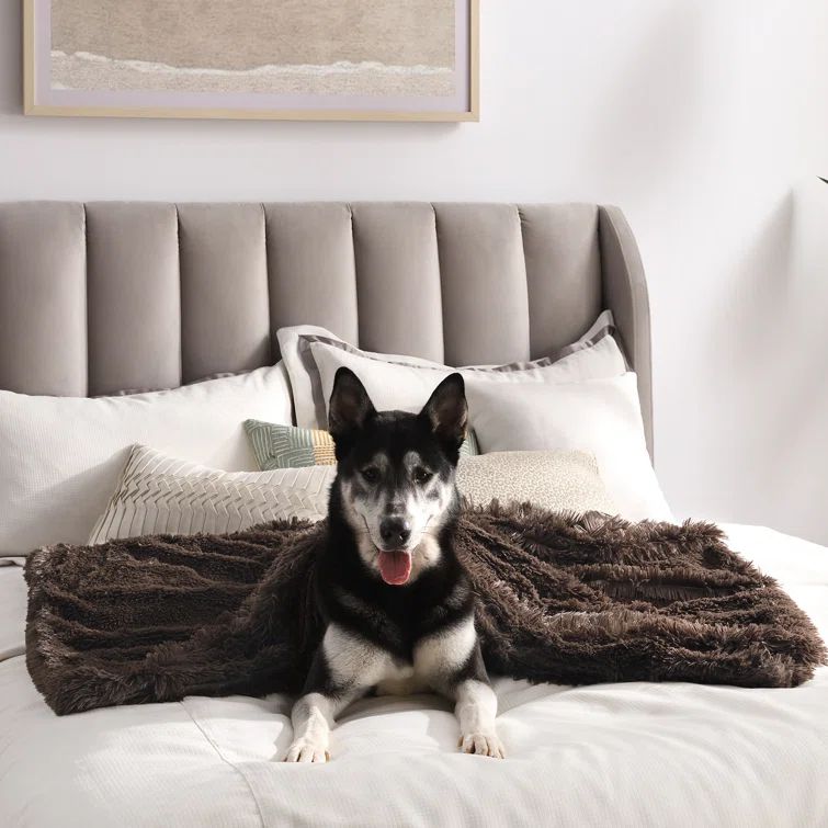 Dark Chocolate Large Shag Fur Pet Blanket 30x40
