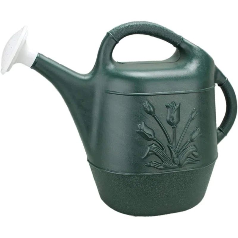 Hunter Green 2 Gallon Plastic Watering Can with Tulip Design