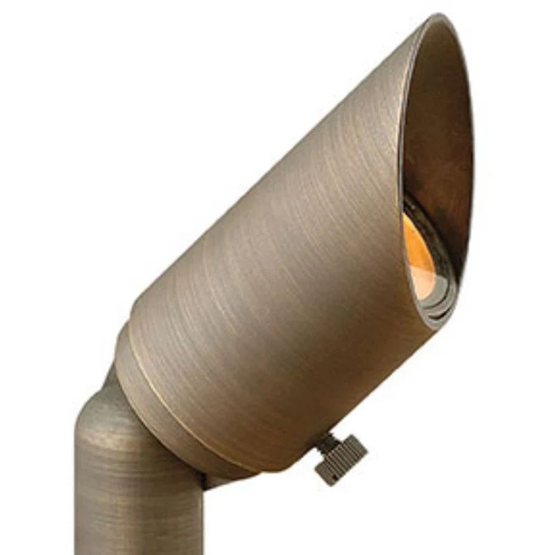 Matte Bronze Brass Outdoor Spot Light with Clear Glass Lens