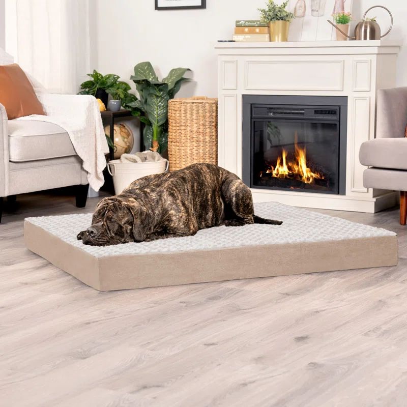 Deluxe Orthopedic Outdoor Memory Foam Pet Bed in Cream, 25"x16"