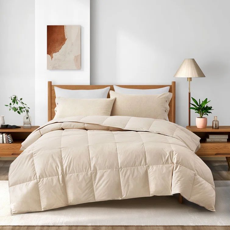 Twin Organic Cotton Down Comforter in White
