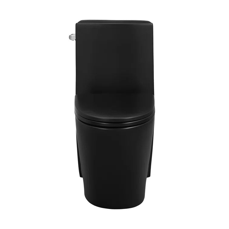 Matte Black Elongated One-Piece High Efficiency Toilet