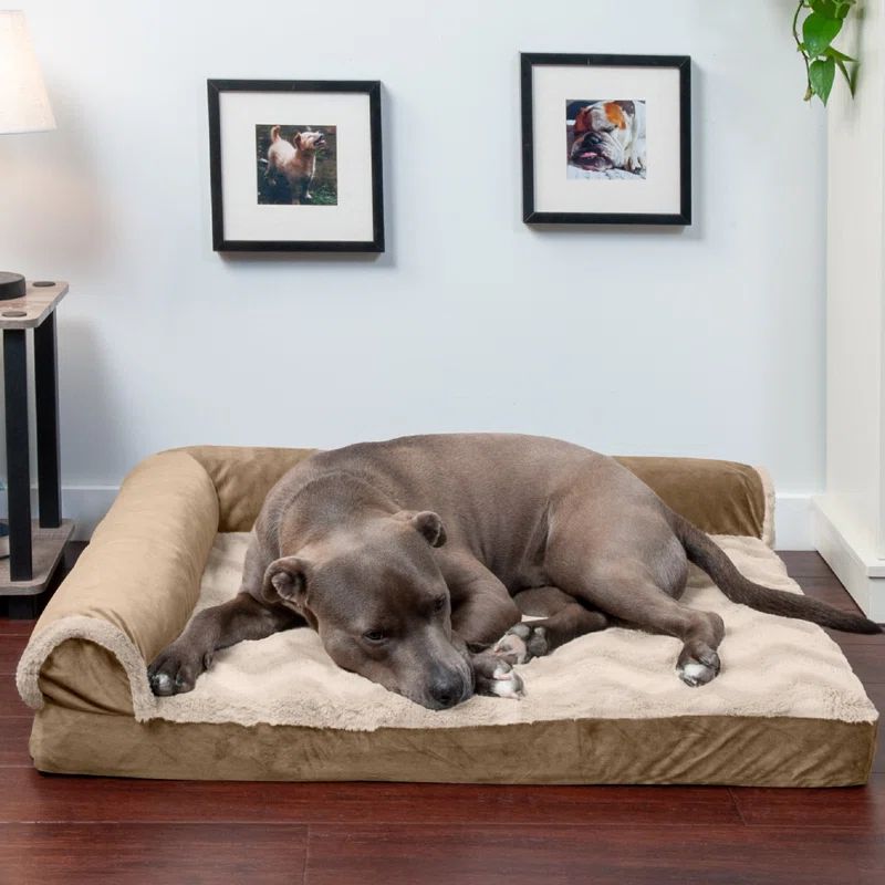 Large Brownstone Orthopedic Foam Pet Chaise Lounge Bed