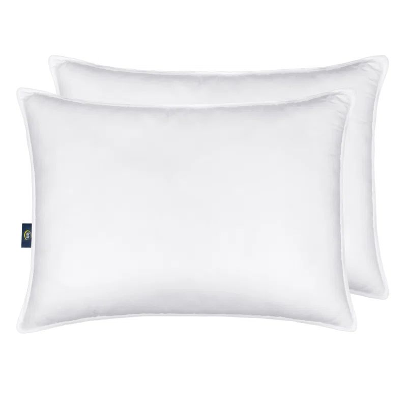 King Size White Hypoallergenic Firm Polyester Pillows (Set of 2)