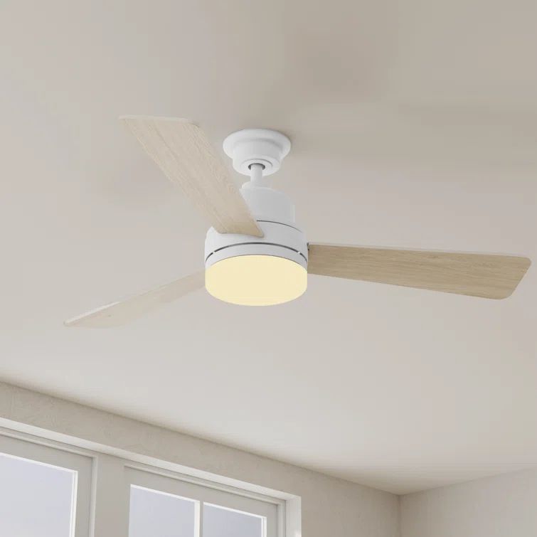Trevina 52" White Steel Ceiling Fan with LED Light