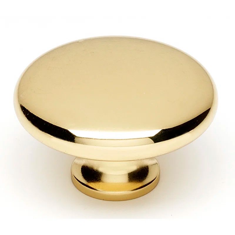 Polished Brass Traditional Rectangular Cabinet Knob with Mounting Hardware