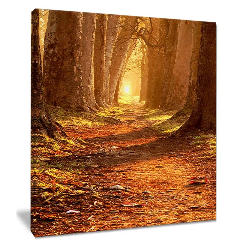 Magic Morning Landscape Canvas Print in Warm Autumn Colors