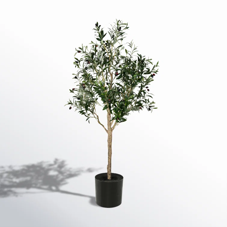 Lush Lifelike Potted Olive Tree with 56 Olives - 63" Height