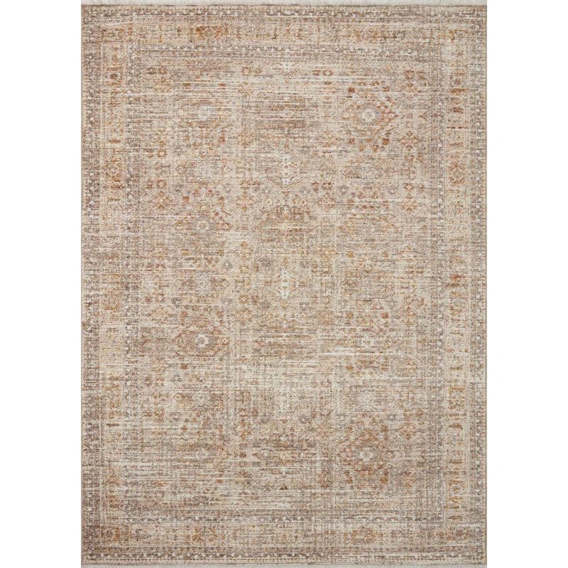 Blake Oatmeal and Spice Distressed 5'-3" x 7'-6" Area Rug