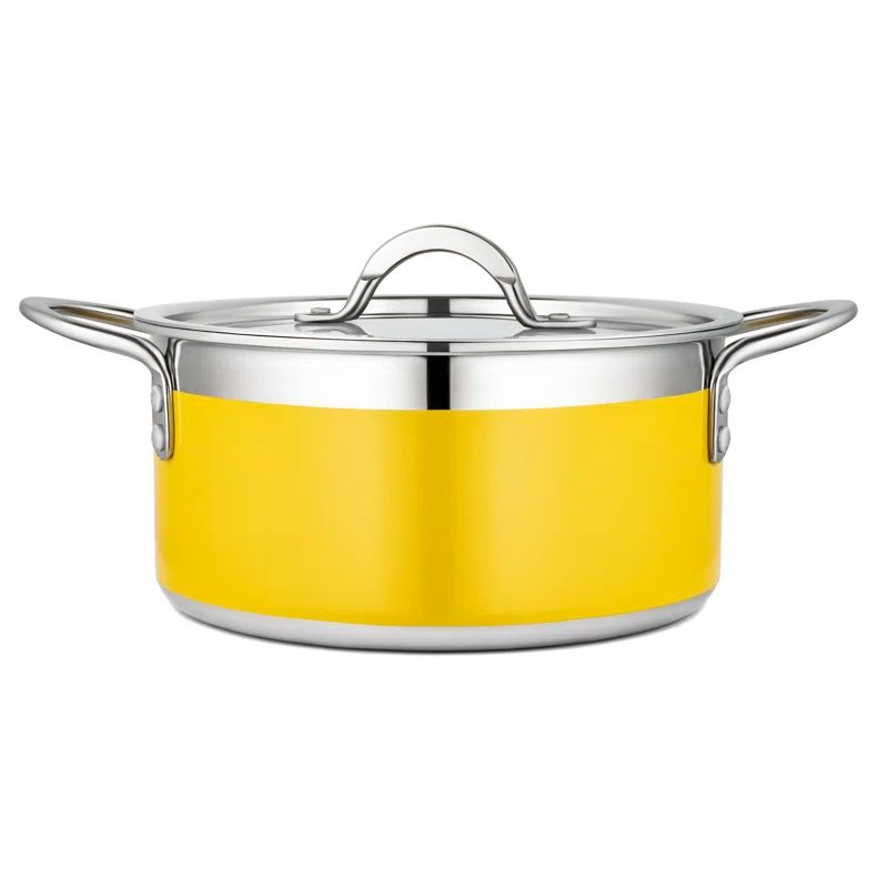 Yellow 3.28 qt. Stainless Steel Soup Pot with Lid