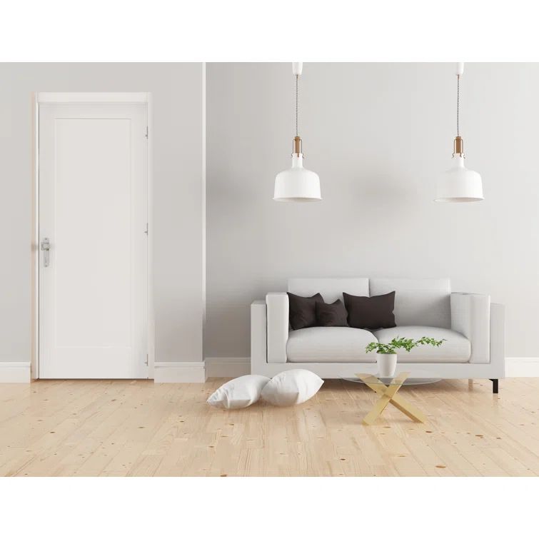 White Primed Pine Single Panel Interior Door, 24" x 80"