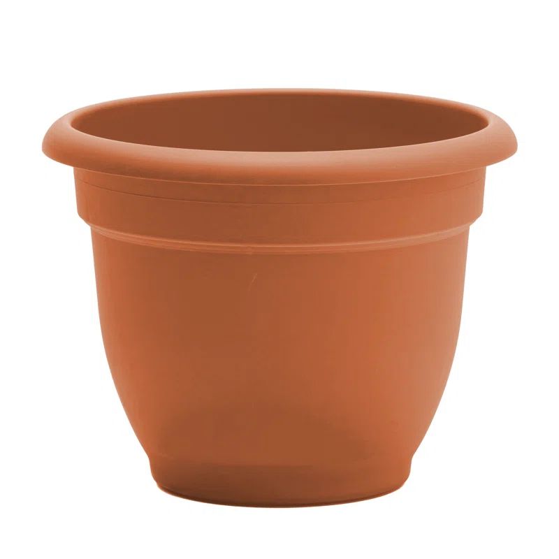 Ariana Terracotta Self-Watering Indoor/Outdoor Plastic Planter