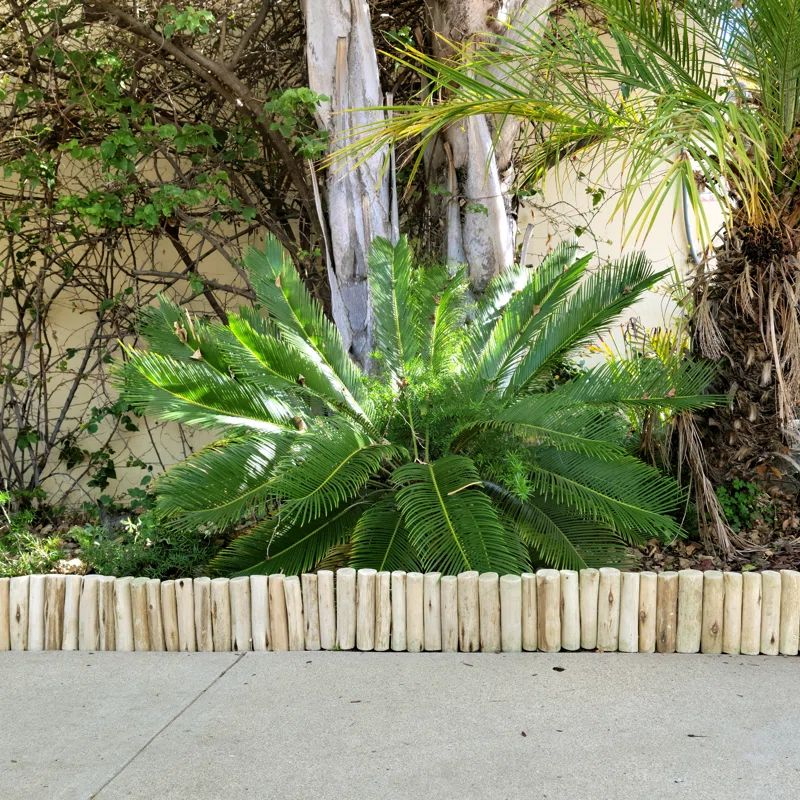 Natural Eucalyptus Wood Garden Border Edging, 6'' H x 72'' L