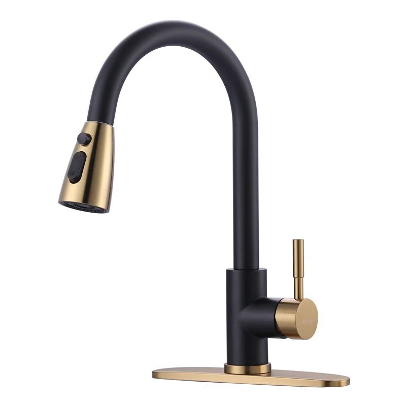 Black and Gold Stainless Steel Pull Down Kitchen Faucet with Sprayer