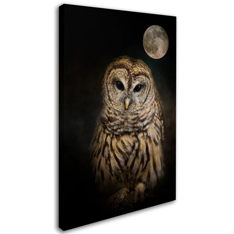 Barred Owl and Moon Framed Canvas Art, 20" x 25"