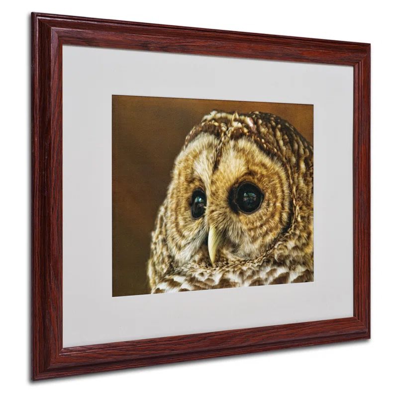 Lois Bryan Barred Owl Portrait Framed Canvas Art in Brown Frame