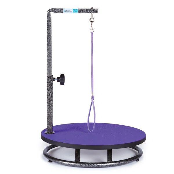 Master Equipment Purple Metal Small Pet Grooming Table, 18IN