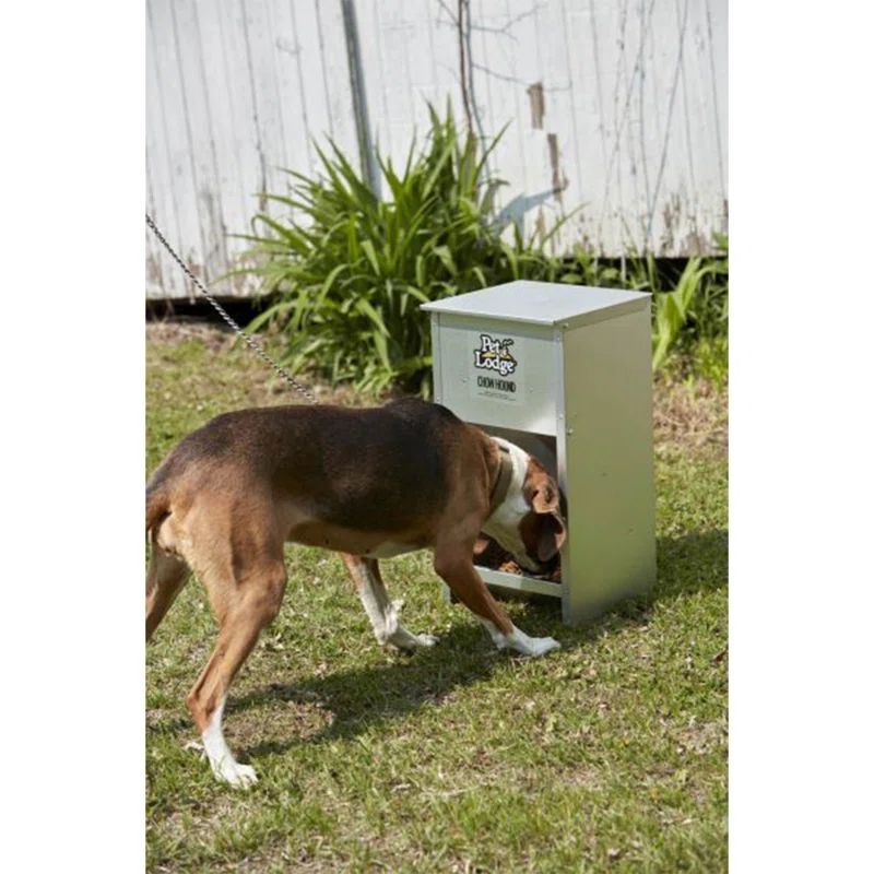 Pet Lodge Galvanized Steel Automatic Dog Feeder, 25 lb Capacity