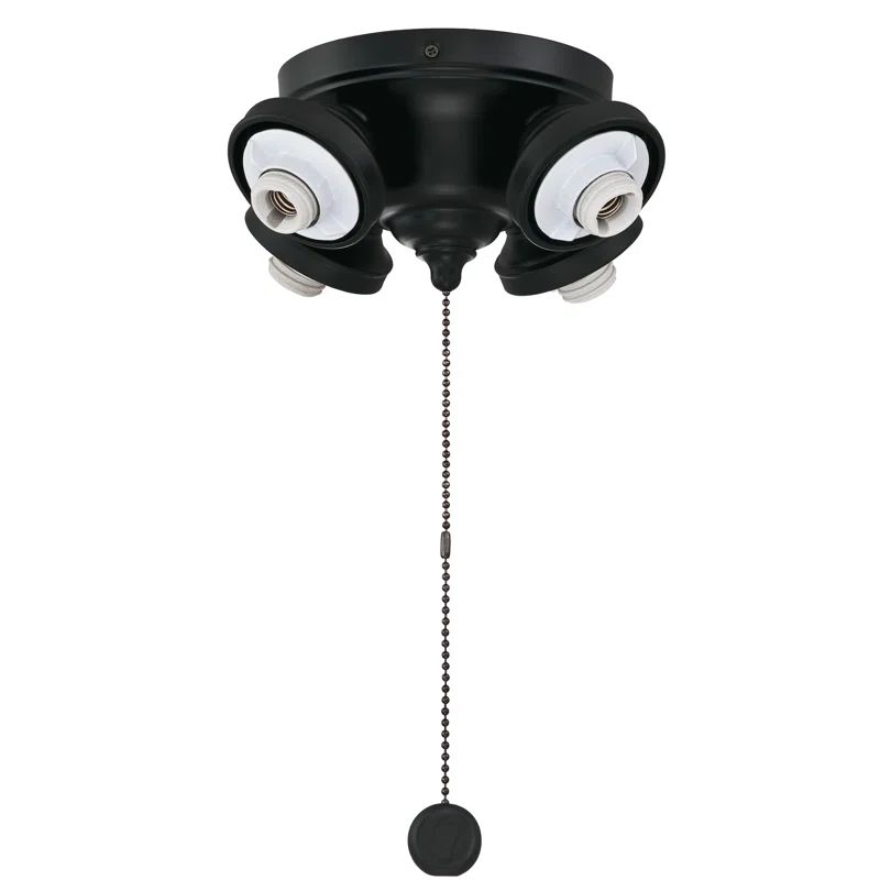 Black Four Light Fitter with LED Bulbs