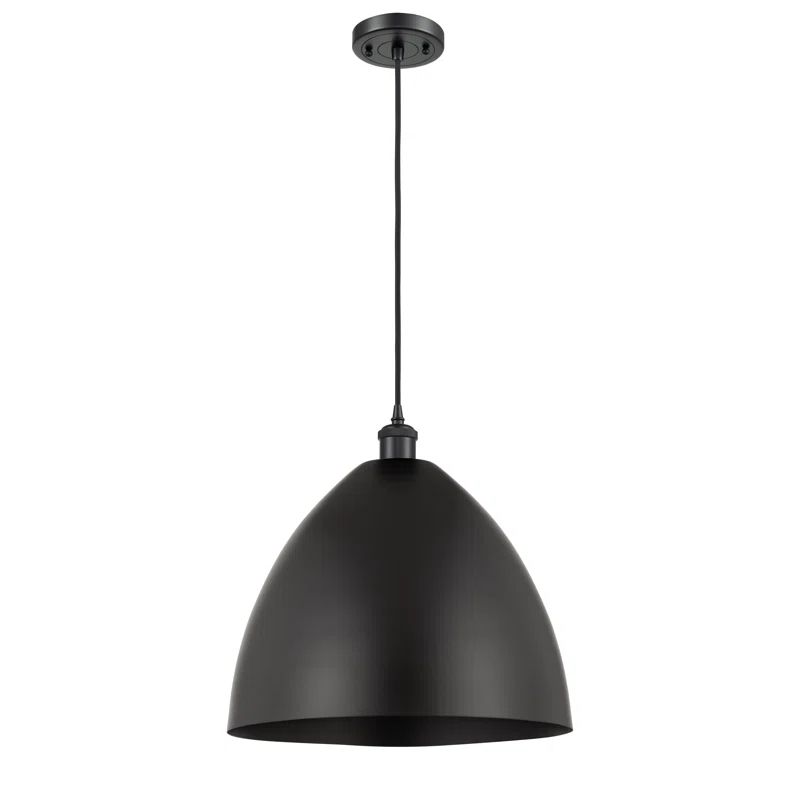 Matte Black Mini Indoor/Outdoor LED Pendant Light