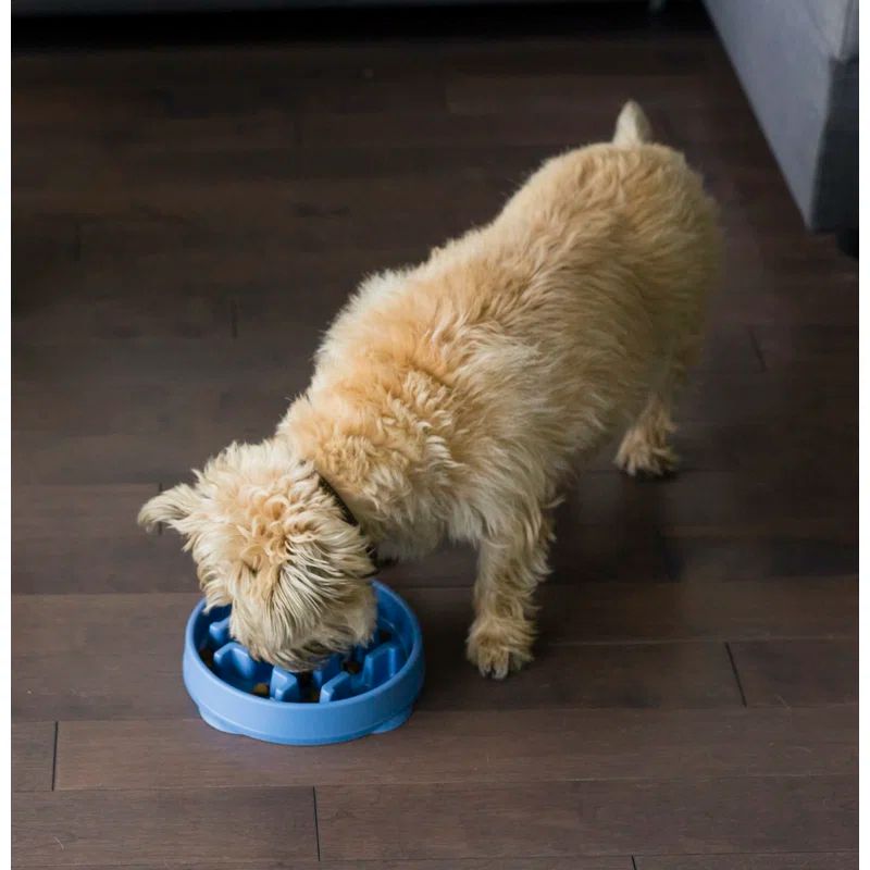 Blue Non-Slip Medium Slow Feeder Dog Bowl