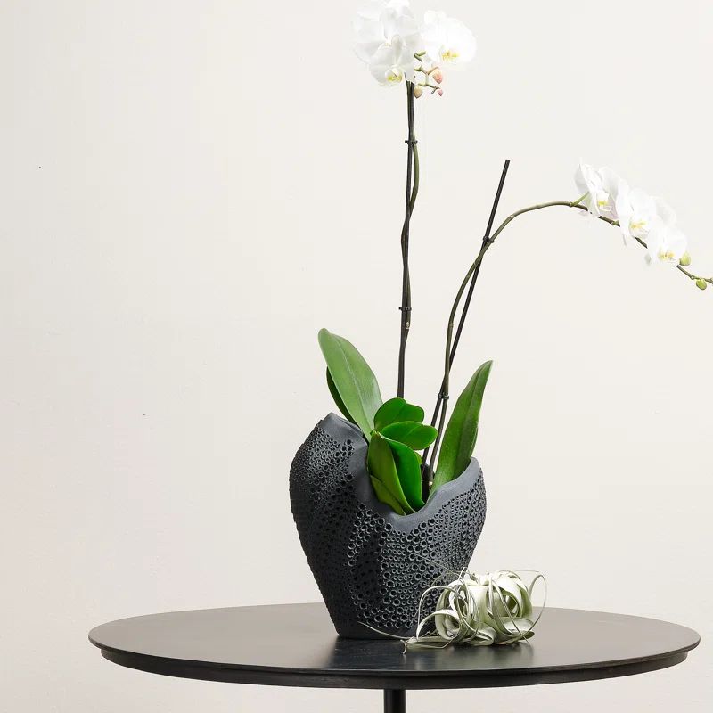 Matte Black Perforated Porcelain Decorative Vase