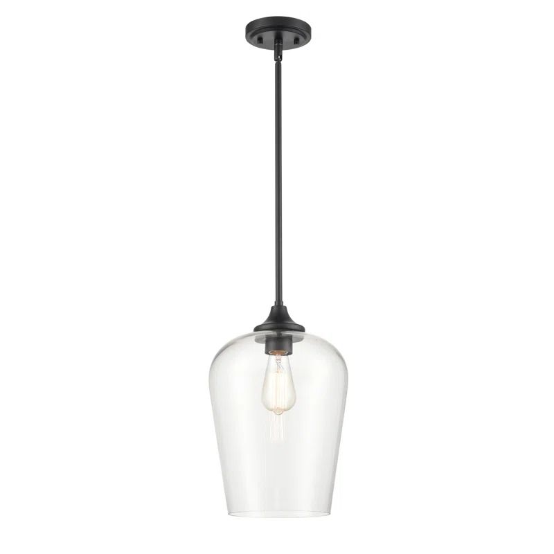 Ashford Mini-Pendant Light in Matte Black with Clear Glass Globe