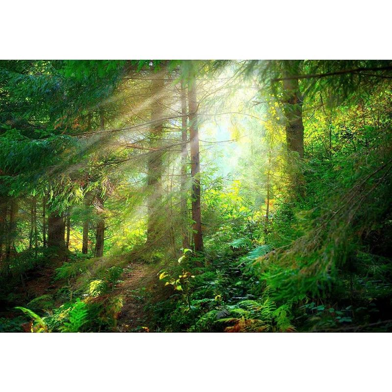 Misty Forest Landscape Self-Adhesive Wall Mural 66" x 96"
