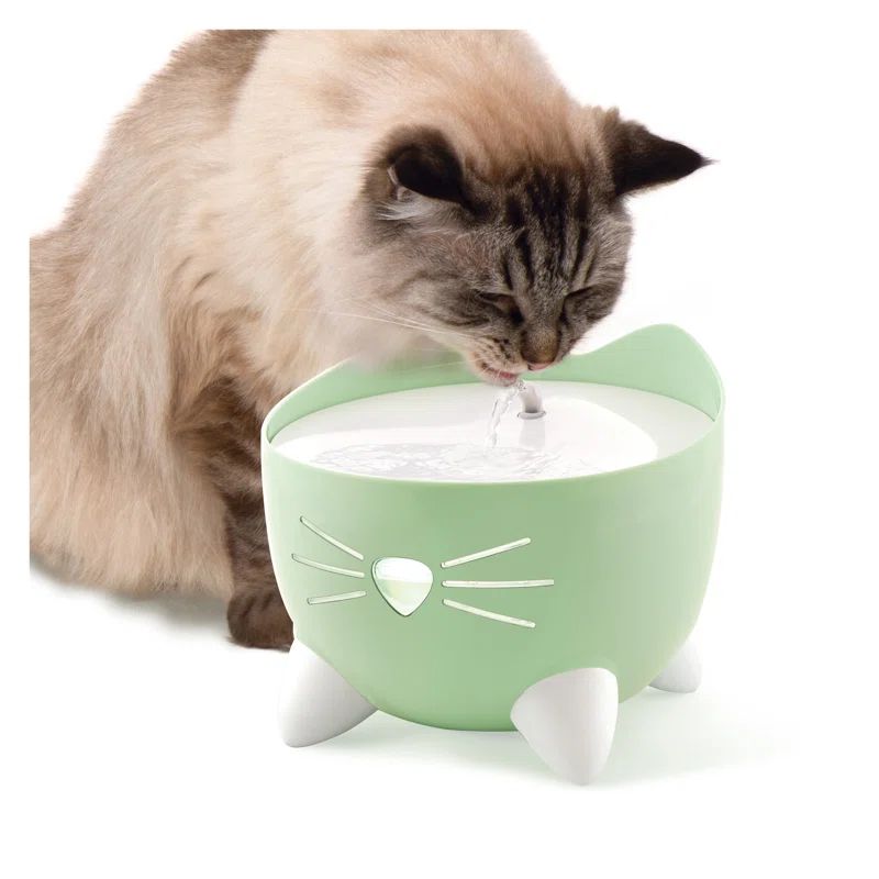 Mint Green Stainless Steel Cat Water Fountain