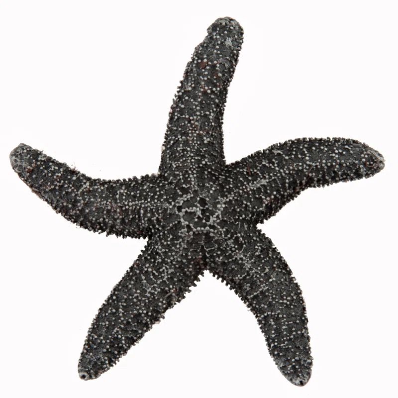 Antique Pewter Starfish Cabinet Knob with Mounting Hardware