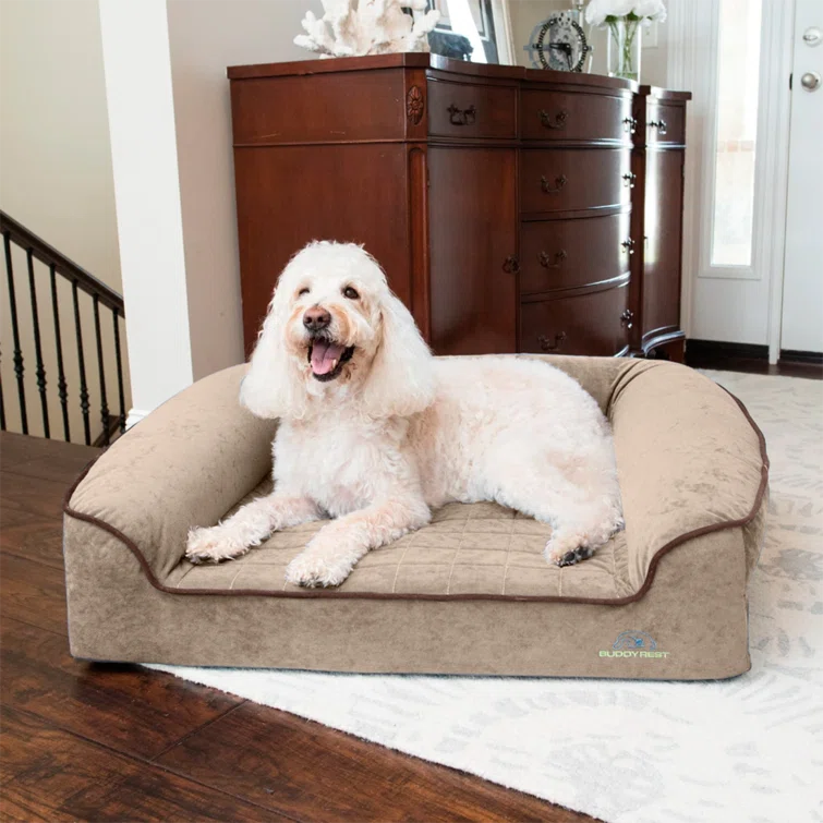 Champagne Beige X-Large Orthopedic Bolster Dog Bed