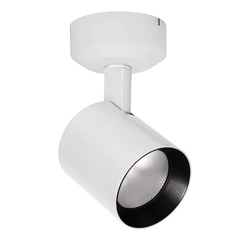 Lucio 9.88'' White LED Architectural Spot Light with Ultra-Narrow Beam