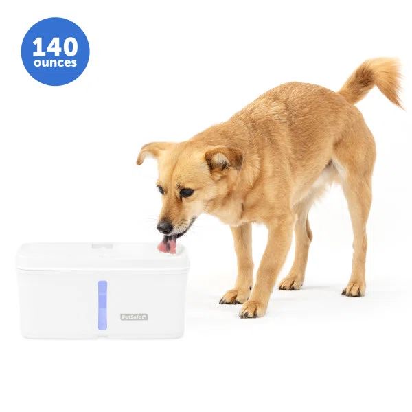 Ultra Quiet White Plastic Automatic Pet Fountain, 140 oz