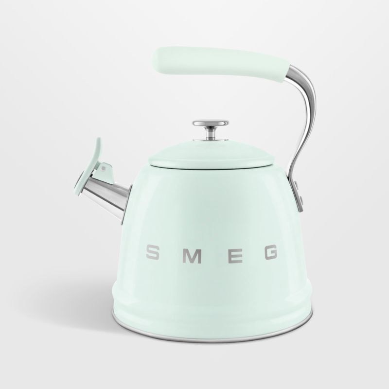 Pastel Green Stainless Steel Whistling Stovetop Kettle