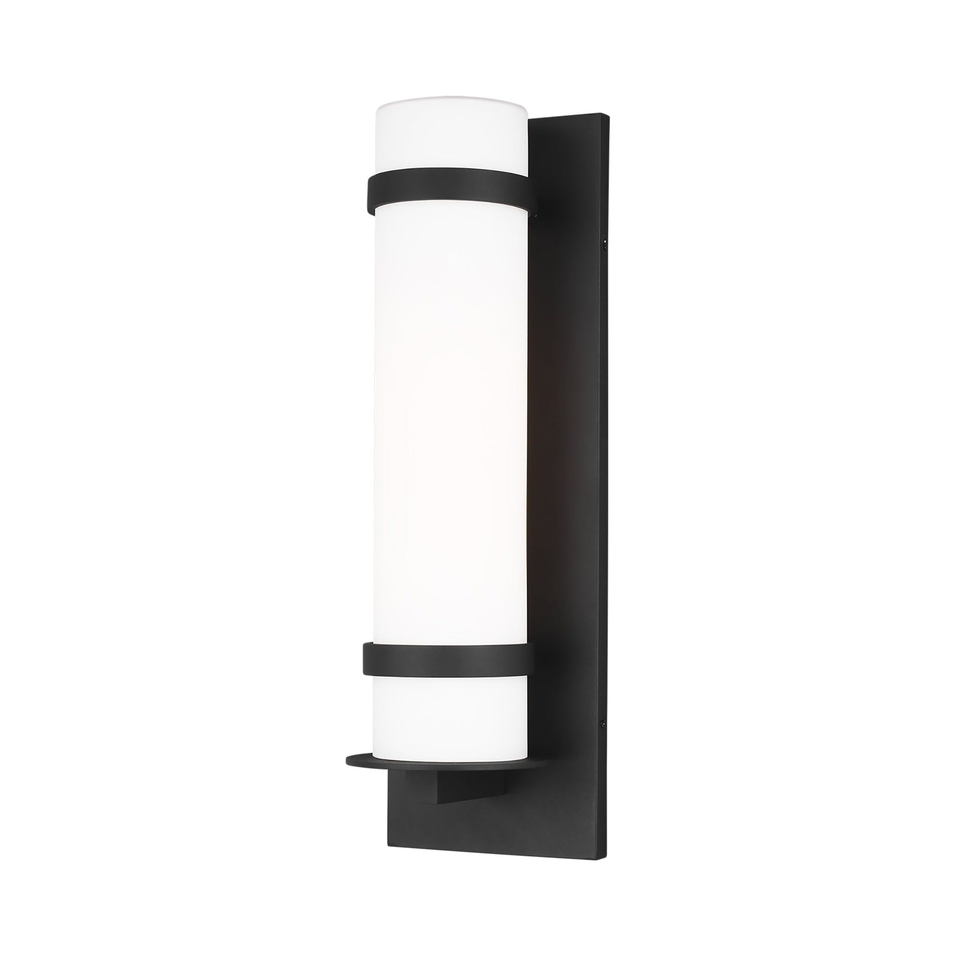 Alban 24" Black Bronze Dimmable Outdoor Wall Lantern with Etched Opal Glass