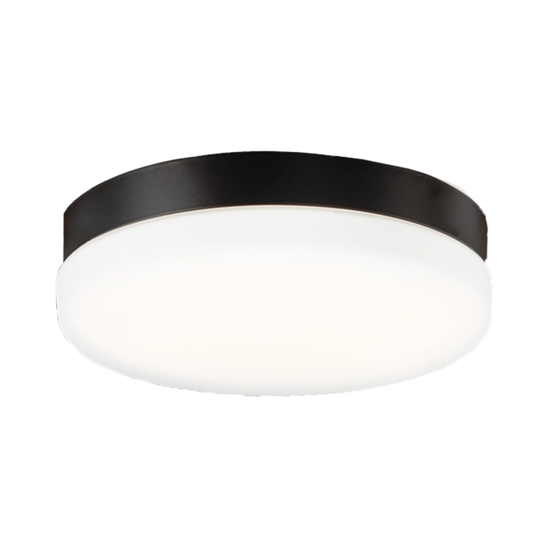 Matte Black LED Ceiling Fan Light Kit with Frosted Glass