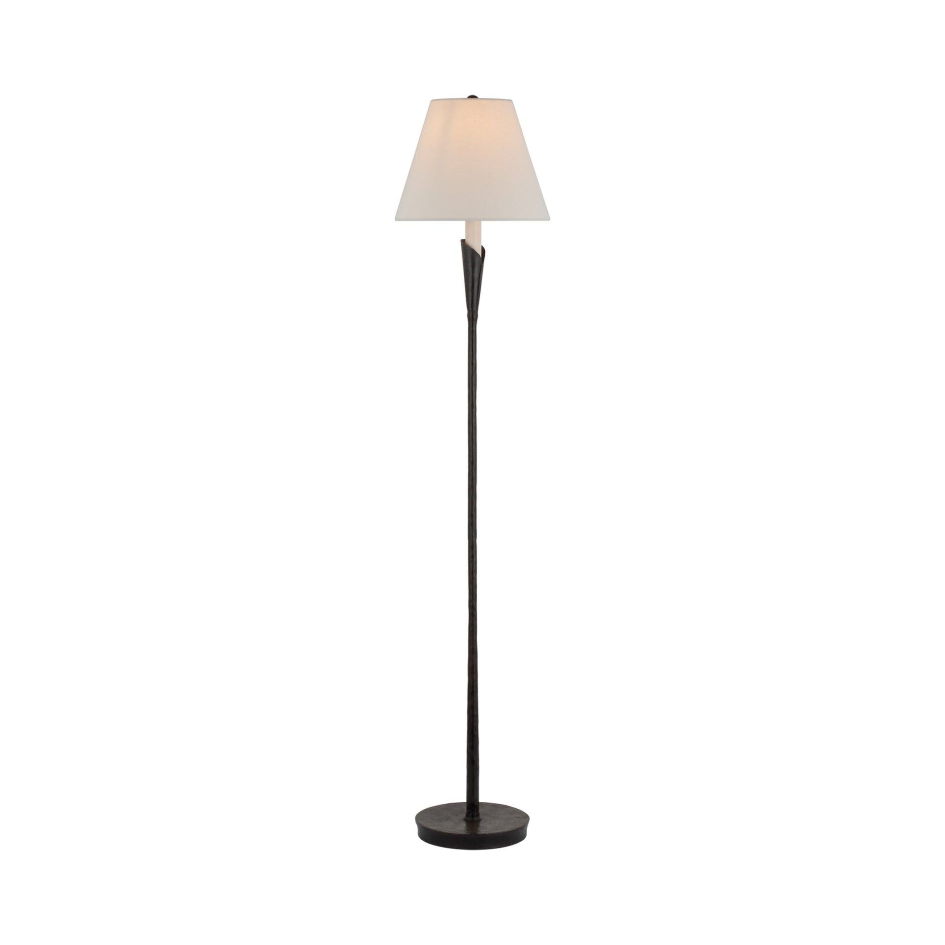 Edison Aged Iron Adjustable Outdoor Floor Lamp, 52 in
