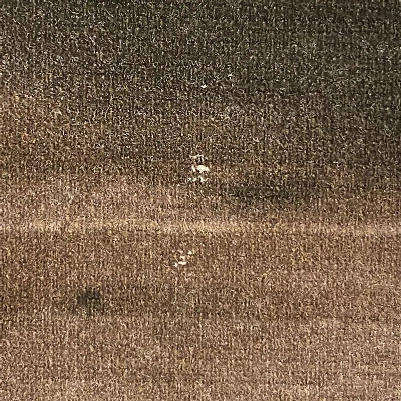 Review image 2