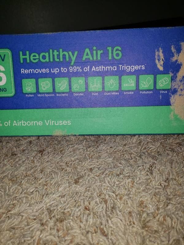 Review image 3