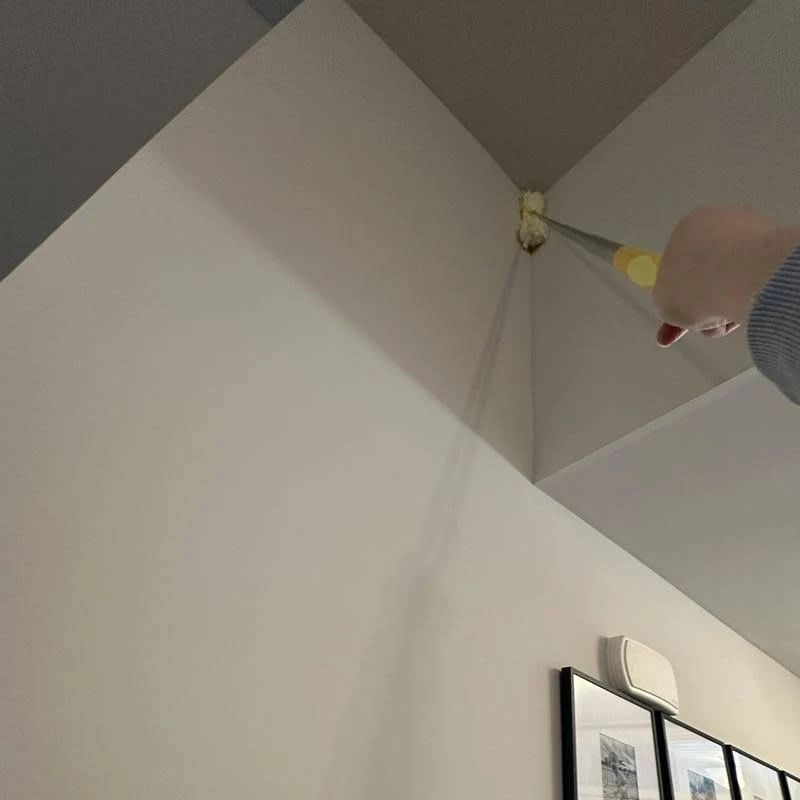 Review image 3