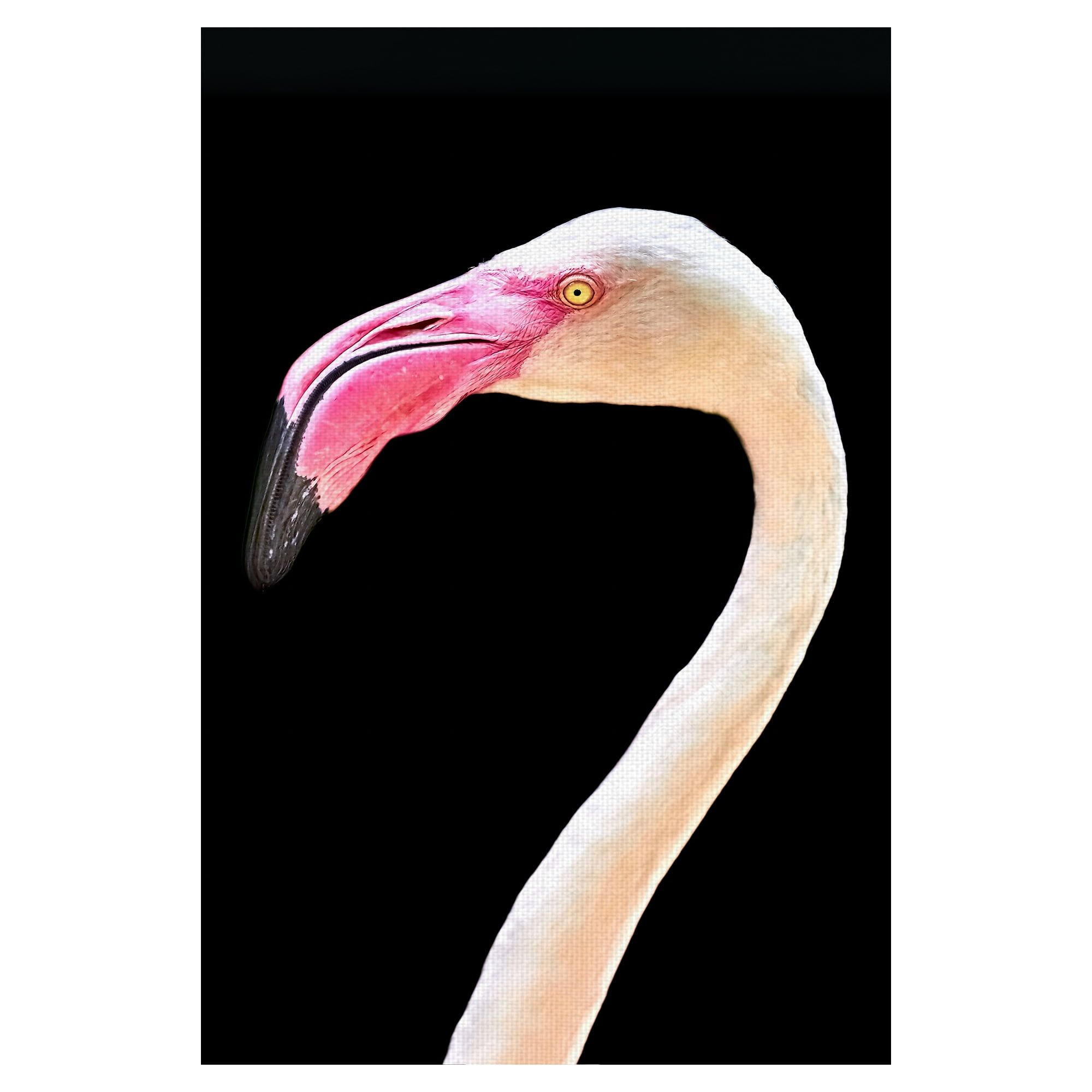 Fiery Pink Flamingo Portrait Canvas Art Print 24" x 36"
