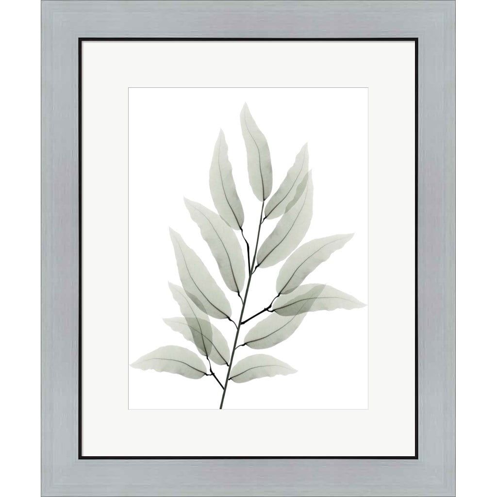 Albert Koetsier Botanical Leaf Print in Silver Frame