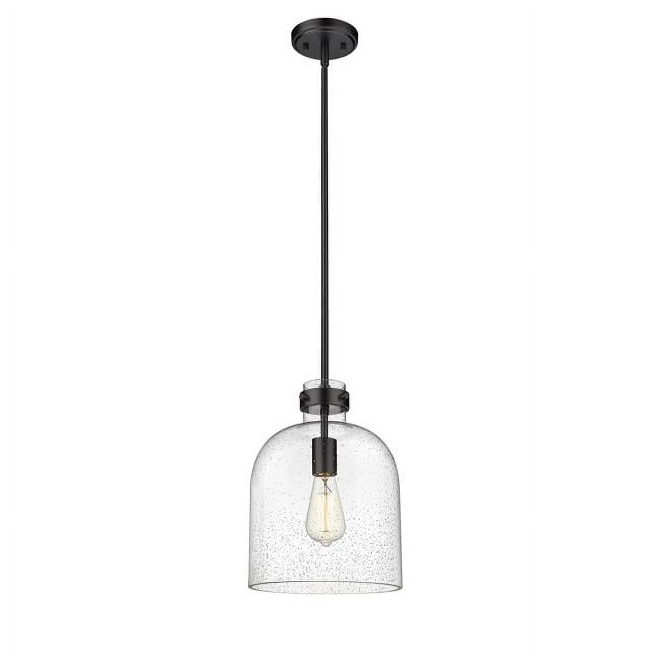 Matte Black and Glass 13" Indoor/Outdoor Pendant Light