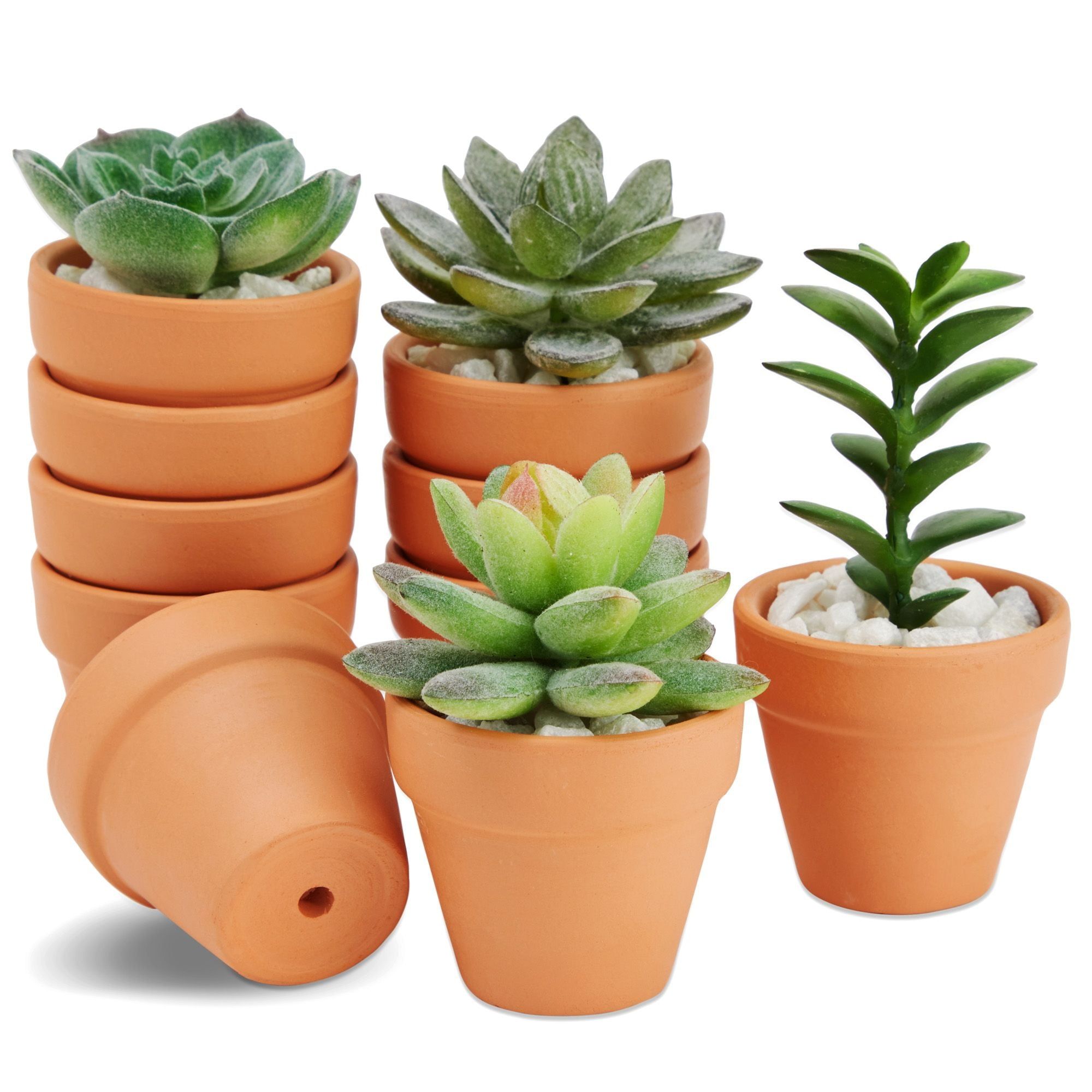 Charming Mini Terracotta Planters with Drainage for Succulents and Herbs, 10-Pack